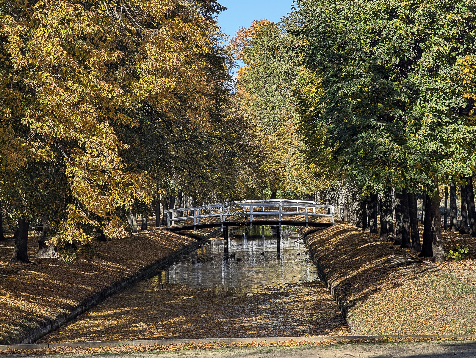 20251018 Tierparkzeichnen Impressionen 3