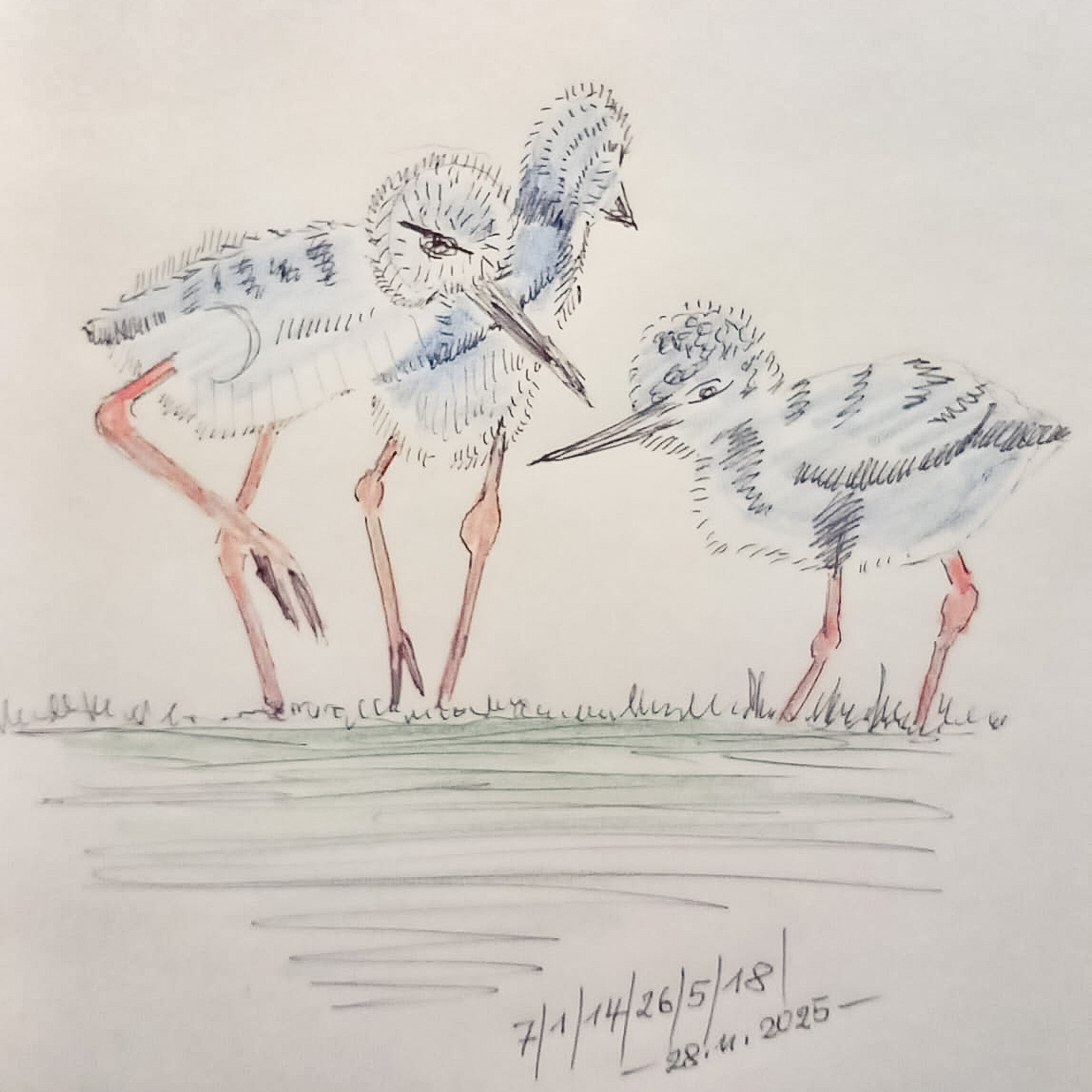 29251200 Hans Ganzer Skizze 2