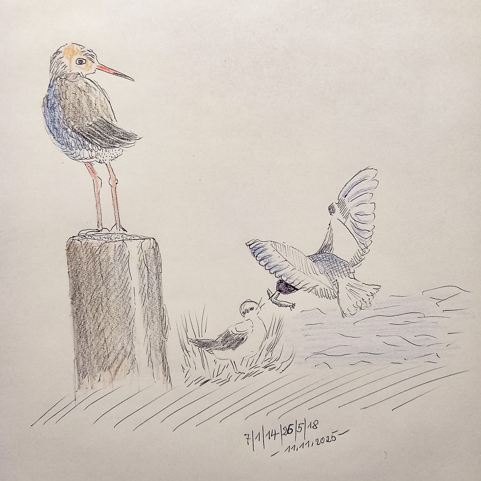 29251200 Hans Ganzer Skizze 9