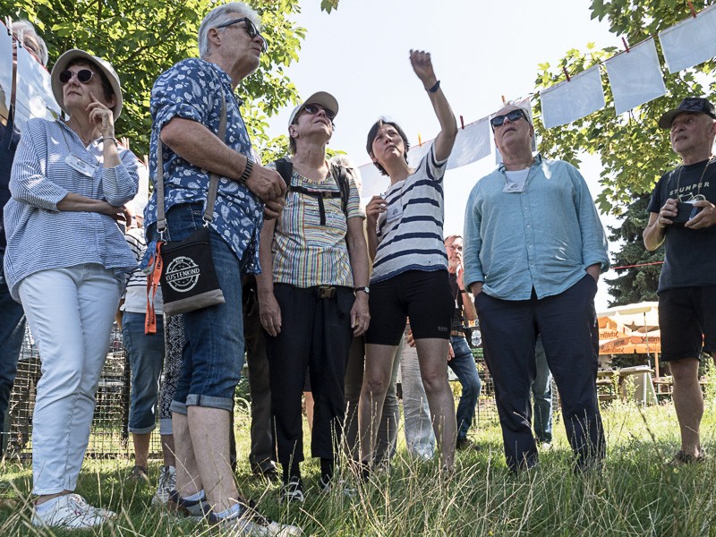 20260725 Fotoausstellung auf Leinen Auswertung 3