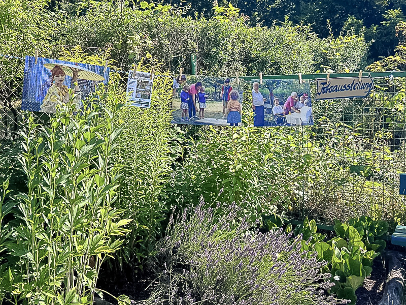 20260725 Fotoausstellung auf Leinen Vorbereitung 7
