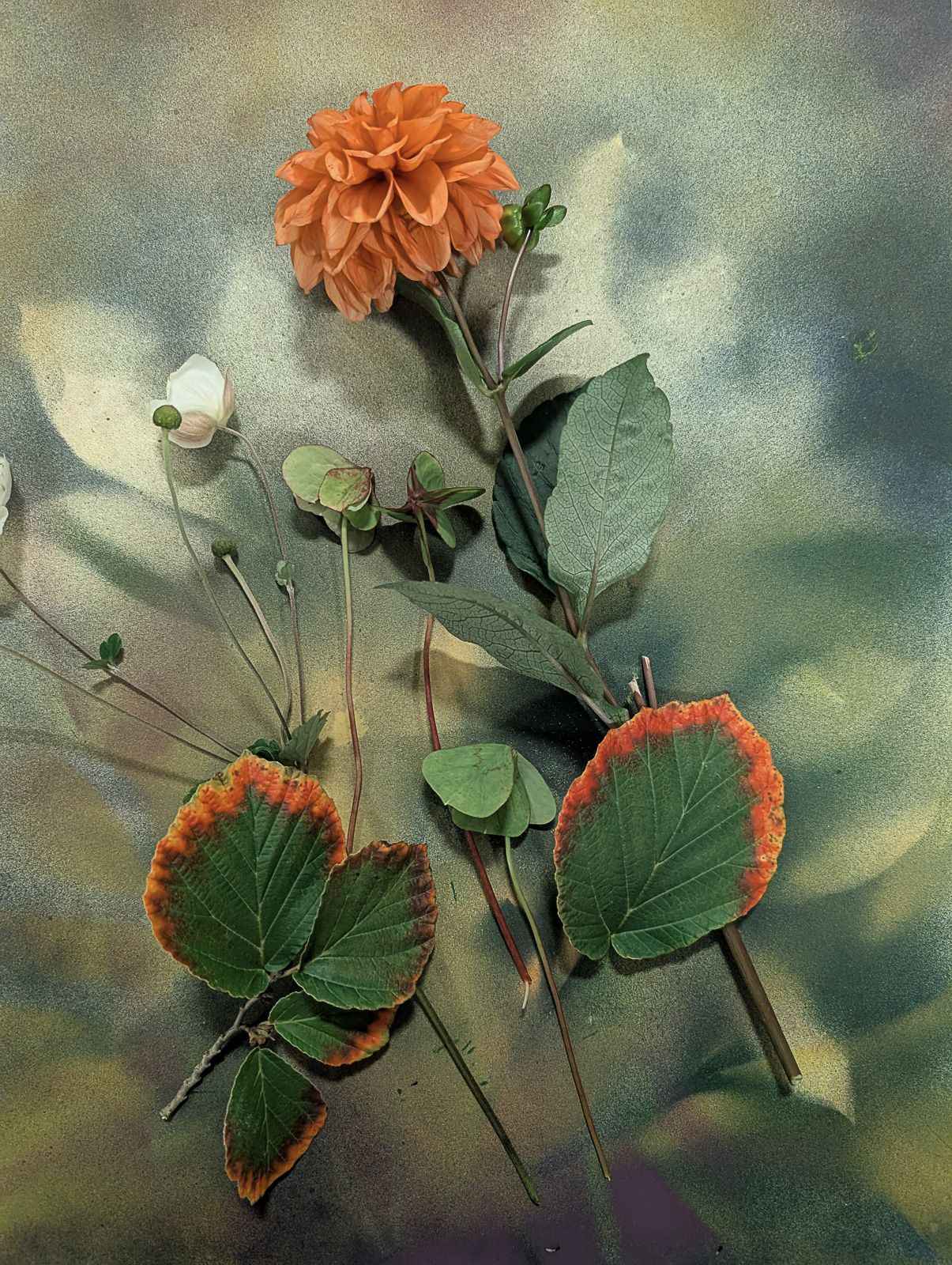 20291015 HerzLos Finissage Blumen