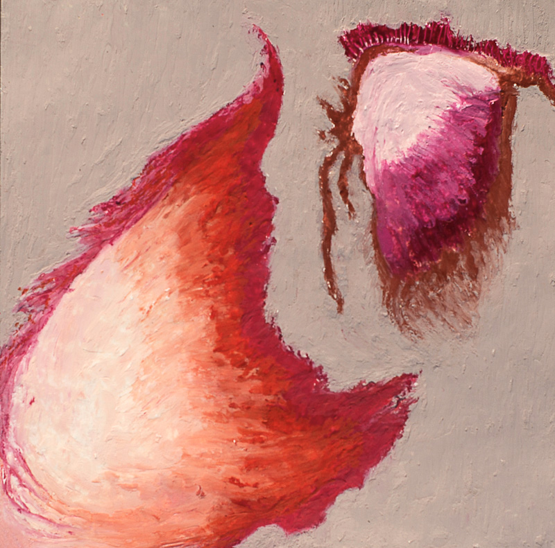 20250901 Celina Guadalupe Galoppi Bild 19