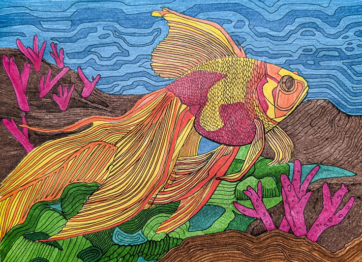 20250901 German Bonafín 12