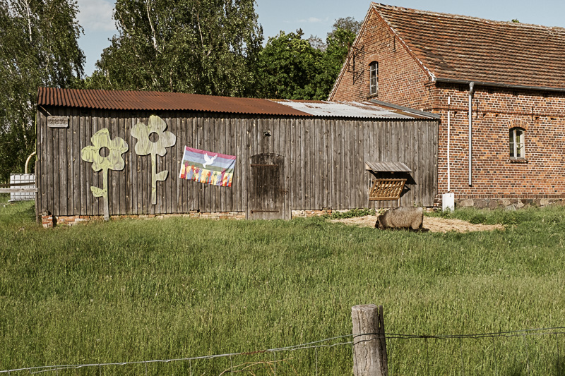 20260516 Kunstlose Tage Frieden 5