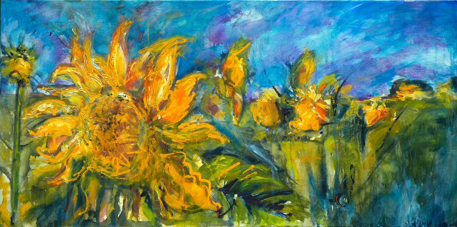 sonnenblumenfeld celi guada 1