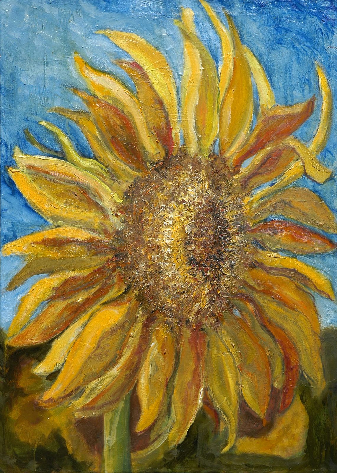 sonnenblumenfeld celi guada 2