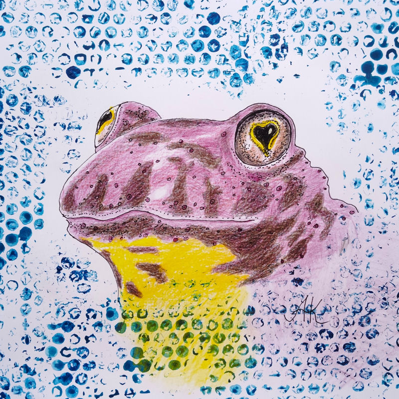 Anni Kaufhold   Gelbbauchunke